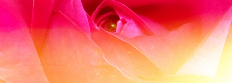 Orgasmus ist mehr als ein Nieser, er ist göttlich. Über meditative Sexualität.