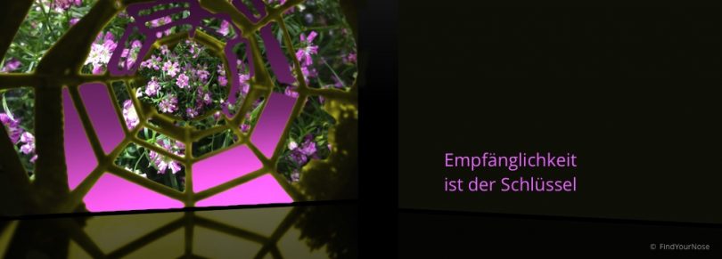 Wie tief geht deine Meditation? Eine Studie zur Meditationstiefe.