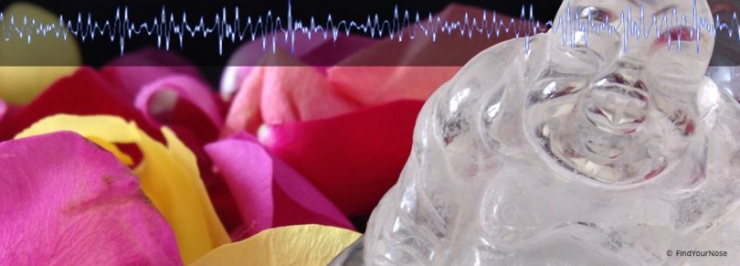 Studie: Meditation macht extrem wach und bewusst