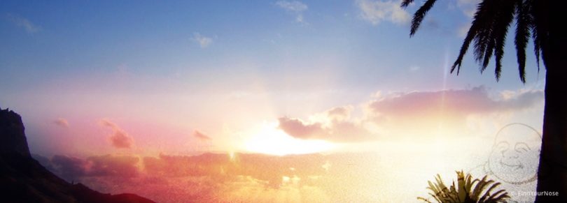 Meditation ist nicht nur Zuckerschlecken