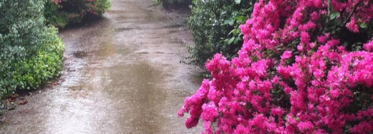 Die anderen haben keine Schuld an deinem Leiden