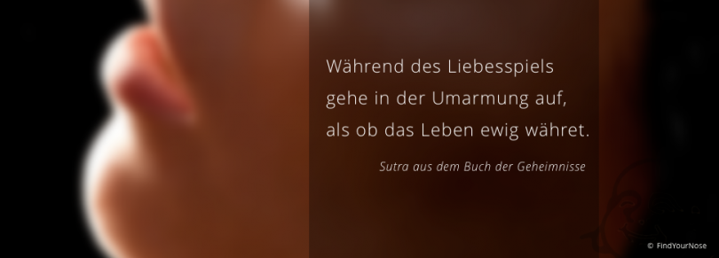 Gehe in der Umarmung auf - der meditative Liebesakt