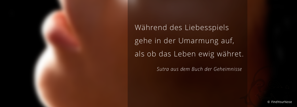 Gehe in der Umarmung auf - der meditative Liebesakt