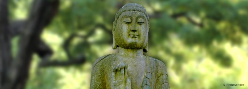 Buddhas Weg zur Erleuchtung - und vielleicht auch deiner