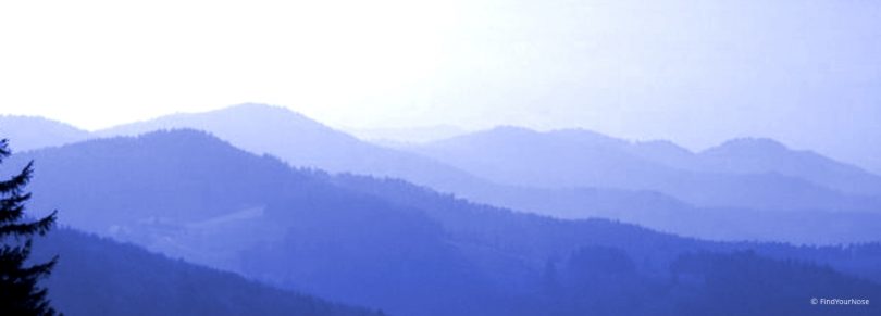 Meditation geht über die Psychoanalyse hinaus