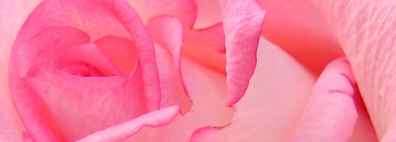 Wahre Liebe ist nicht zu befriedigen