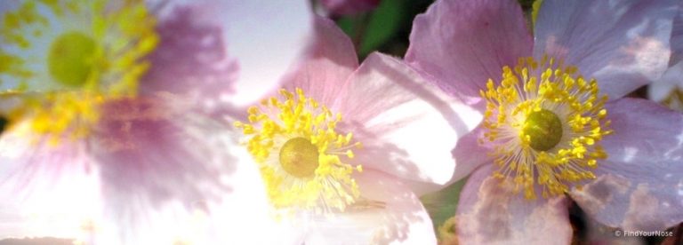 Die göttliche Dreieinigkeit: 3 Eigenschaften von Glück