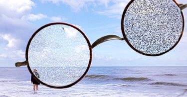 Mit einer Brille sieht man nicht immer besser – Geschichte von Baal Shem Tov