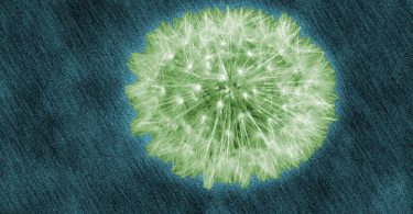 Niesen als Gelegenheit, Meditation zu erfahren