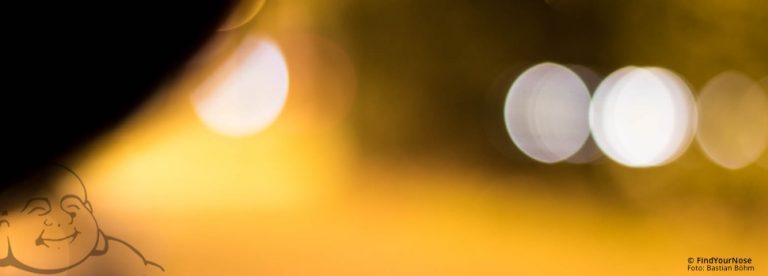 Das Unerklärliche - Paradoxien durch Meditation entdeckt