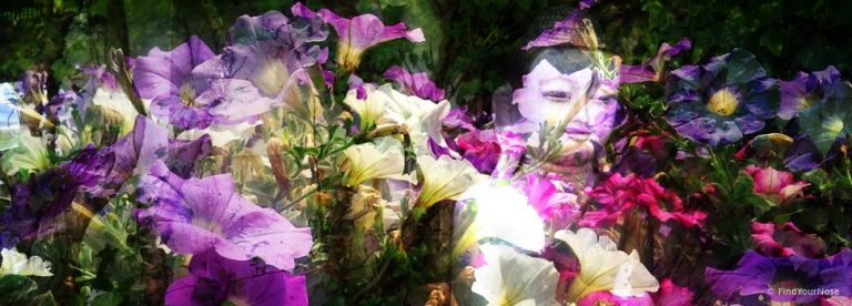Meditation - erkennen, was offensichtlich ist