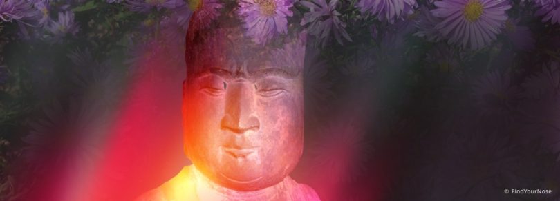 Können Meditation und Weisheit übertragen werden?