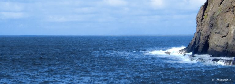 Dein Leben wird im Meer verschwinden