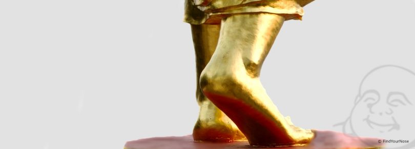 Auch du hast Buddhas Füße - die Geschichte von Ramakrishna, der seine Füße verehrt
