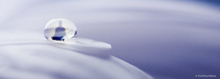 Disziplin bedeutet dazulernen wollen