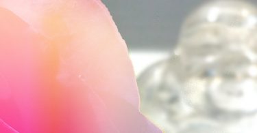 Was ist die Intelligenz des Herzens?