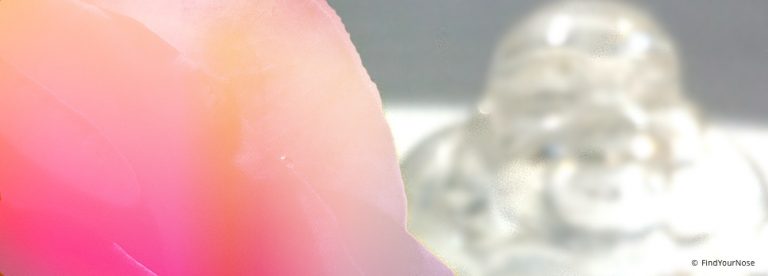 Was ist die Intelligenz des Herzens?