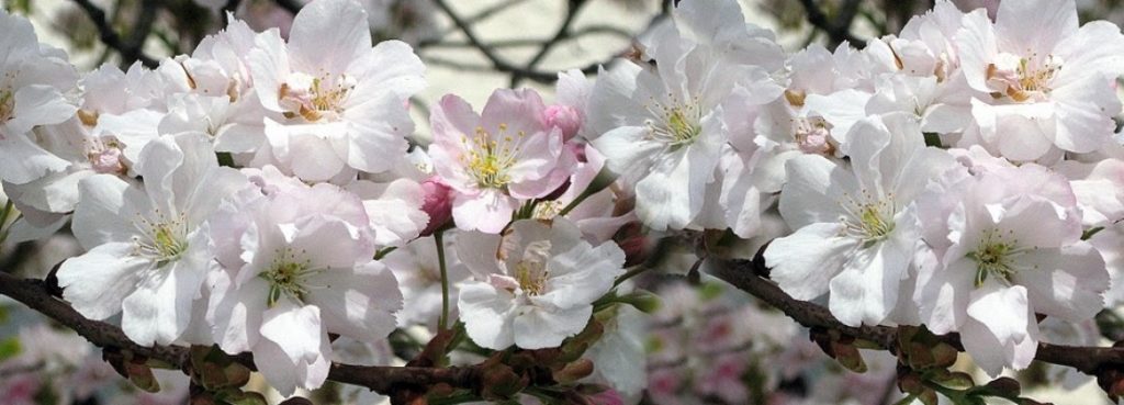 Anleitung zur OSHO Kundalini Meditation