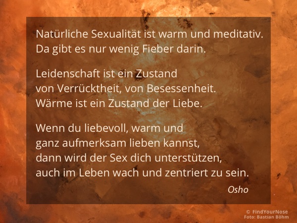 Koan Was ist Sexualität?