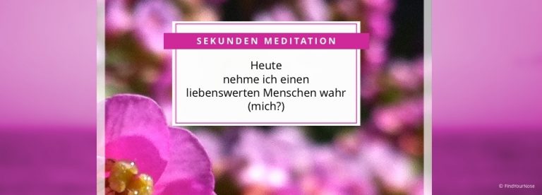 Sekunden Meditationen von FindYourNose