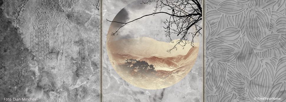 Einfach leben, einfach sterben - Haiku von Kyorai