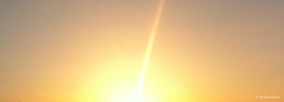 Wo bin ich? Eine tibetische Meditation
