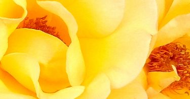 3 Meditationen im Alltag