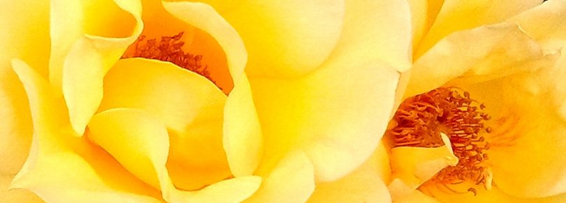 3 Meditationen im Alltag