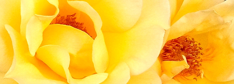 3 Meditationen im Alltag