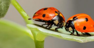 'Du liebst mich nicht mehr!' und andere Dummheiten