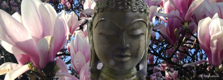 Selbsterforschung - der Weg in die Bewusstheit