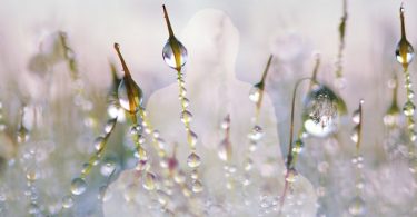 Nimm’ wahr, wer empfindet - Meditation aus dem Buch der Geheimnisse