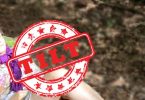 Tilt -- Ausgeknockt