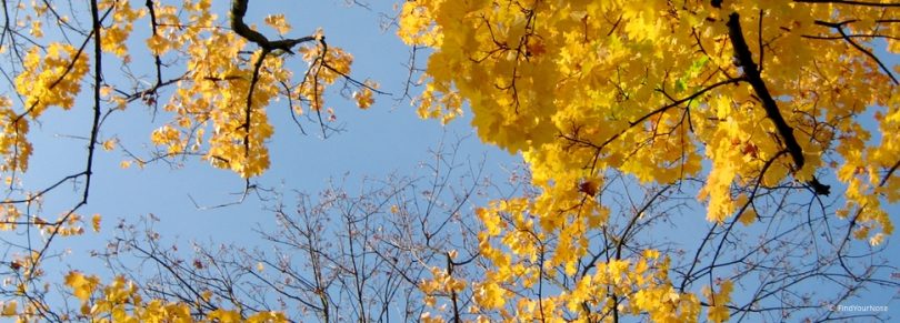 Goldene Zeiten - Samarpans Blog