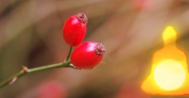 Warum die Liebe auch Meditation braucht