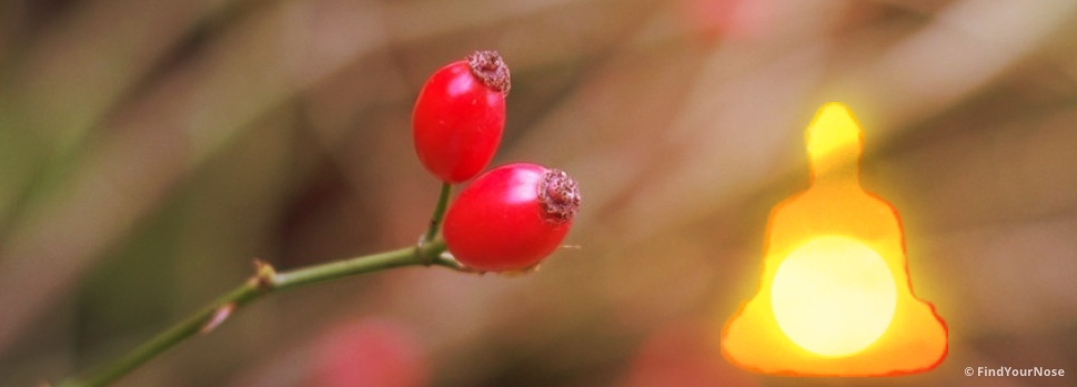 Warum die Liebe auch Meditation braucht