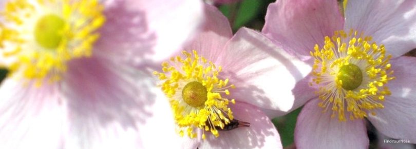 3 meditative Tipps bei Nervosität, Stress und Anspannung