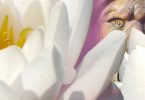 FindYourNose Abenteuergeschichten 2014
