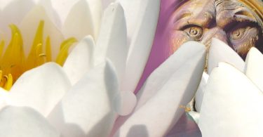 FindYourNose Abenteuergeschichten 2014