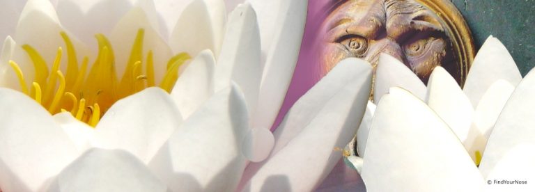 FindYourNose Abenteuergeschichten 2014