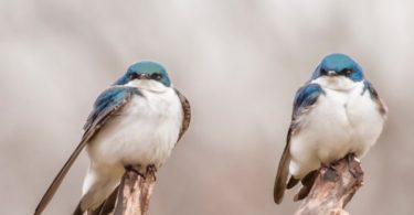 Beziehungsprobleme: Du siehst, was du sehen willst