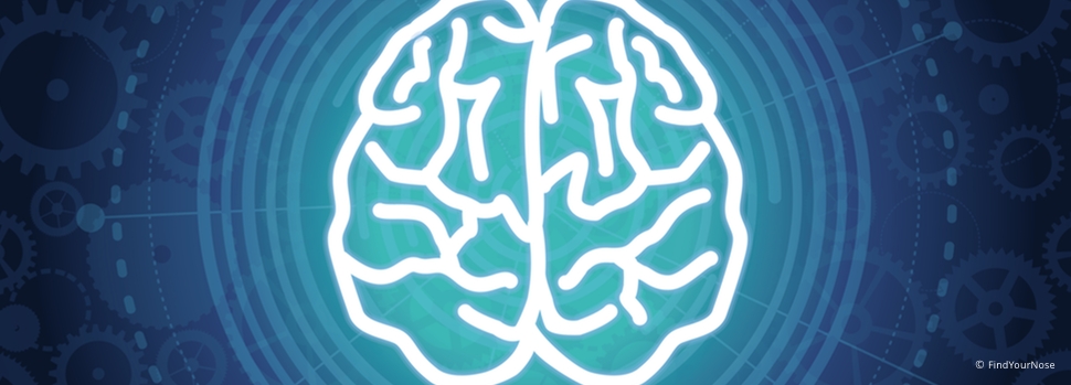 Test: Kannst du mit deinen Gehirnhälften spielen?