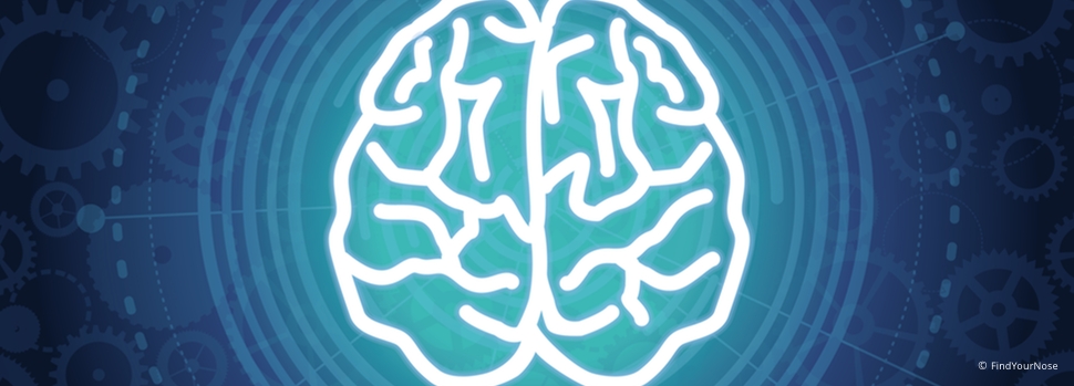 Test: Kannst du mit deinen GehirnhÃ¤lften spielen?