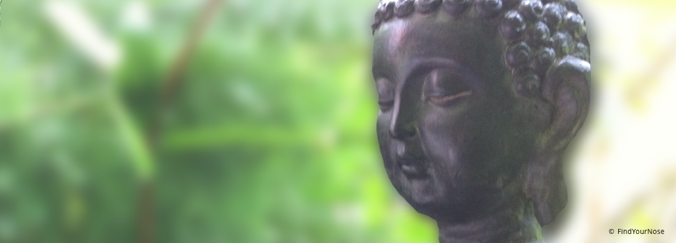 Minderwertigkeit loslassen - eine Geschichte von Buddha und seinem Schüler Sariputta