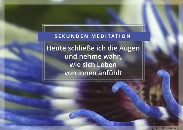 Vor dem Sterben lebendig sein