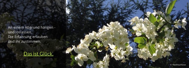 Das Glück, das hinter einem Lehrer-Ego wartet - Ta Hui