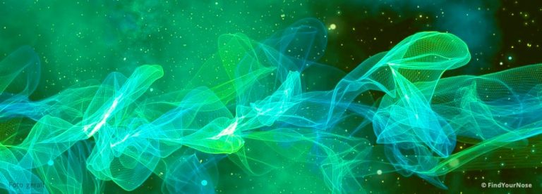 Statt Vergnügen ewige Glückseligkeit