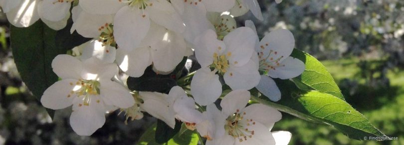 9 Anzeichen für ‚erfolgreiche‘ Meditation