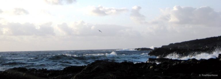 Was tun, wenn Alleinsein schmerzt?