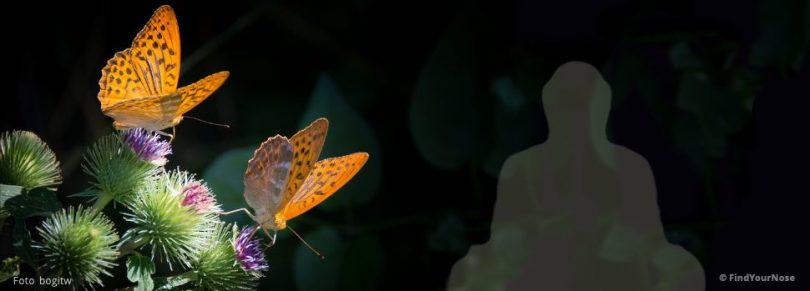 Meditative Liebe: das Bewusstsein des Partners wahrnehmen